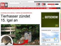 Bild zum Artikel: Unheimliche Gewalt-Serie - Tierhasser zündet15. Igel an