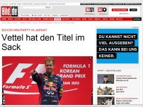 Bild zum Artikel: Sieg nach Eier-Krach - Vettel hat denTitel im Sack