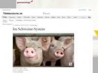 Bild zum Artikel: Tierhaltung: Im Schweine-System