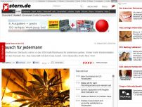 Bild zum Artikel: Marihuana-Boom in den USA: Rausch für Jedermann