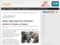 Bild zum Artikel: Aktion: Bitte Katy Perry, Elefanten endlich in Frieden zu lassen!