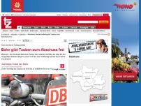 Bild zum Artikel: Deutsche Bahn gibt Tauben zum Abschuss frei