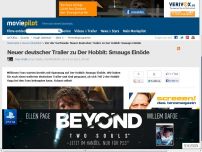 Bild zum Artikel: Neuer deutscher Trailer zu Der Hobbit: Smaugs Einöde