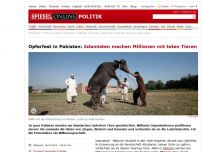 Bild zum Artikel: Opferfest in Pakistan: Islamisten machen Millionen mit toten Tieren