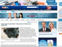 Bild zum Artikel: Kampf gegen Hunde-Mafia 16 Hundebabys aus Kofferraum befreit