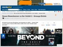 Bild zum Artikel: Neues Riesenbanner zu Der Hobbit 2 - Smaugs Einöde