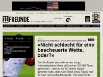 Bild zum Artikel: Waliser gewinnt 125.000 Pfund – weil sein Enkel Nationalspieler wird