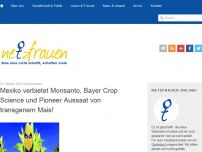 Bild zum Artikel: Mexiko verbietet  Monsanto, Bayer Crop Science und Pioneer Aussaat von transgenem Mais!