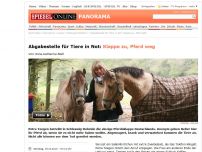 Bild zum Artikel: Abgabestelle für Tiere in Not: Klappe zu, Pferd weg