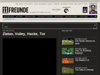 Bild zum Artikel: Zlatan, Volley, Hacke, Tor