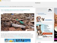 Bild zum Artikel: Berlin: Drogenhaltiger Junkie-Kot macht Parks zu Risikogebieten für Hunde