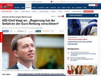 Bild zum Artikel: AfD-Chef Bernd Lucke im Interview - „Die Regierung hat die Gefahren der Euro-Rettung verschleiert“