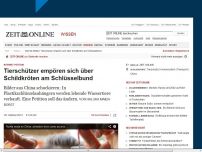 Bild zum Artikel: Internet-Petition:
Tierschützer empören sich über Schildkröten am Schlüsselbund