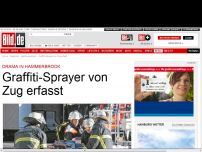 Bild zum Artikel: Drama in Hammerbrook - Graffiti-Sprayer von Zug erfasst