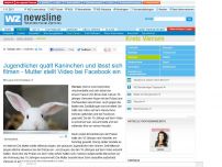 Bild zum Artikel: Jugendlicher quält Kaninchen und lässt sich filmen - Mutter stellt Video bei Facebook ein