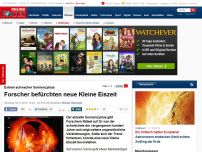 Bild zum Artikel: Extrem schwacher Sonnenzyklus - Forscher befürchten neue Kleine Eiszeit