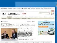 Bild zum Artikel: Gregor Gysi: SPD wird in der großen Koalition leiden