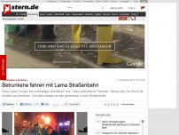 Bild zum Artikel: Schnapsidee in Bordeaux: Betrunkene Jugendliche fahren Tram mit entführtem Lama