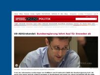 Bild zum Artikel: US-Abhörskandal: Bundesregierung lehnt Asyl für Snowden ab