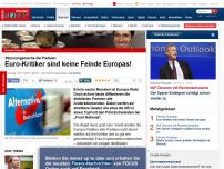 Bild zum Artikel: Stimmungsmache der Parteien - Euro-Kritiker sind keine Feinde Europas!