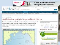 Bild zum Artikel: Tsunami-Folgen: Abfall-Insel von der Größe Texas' treibt auf USA zu
