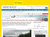 Bild zum Artikel: Schließung gefordert: Ist der Bayerische Wald zumutbar für Asylbewerber?