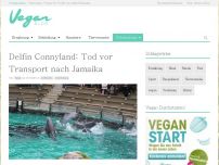 Bild zum Artikel: Delfin Connyland: Tod vor Transport nach Jamaika