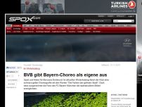 Bild zum Artikel: Bundesliga: BVB gibt Bayern-Choreo als eigene aus