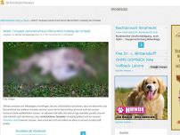 Bild zum Artikel: Altdorf: Tierquäler zertrümmert Hund offensichtlich mutwillig den Schädel