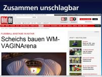 Bild zum Artikel: Fußball-Ekstase in Katar - Scheichs bauen WM-VAGINArena