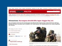 Bild zum Artikel: Klimaschutz: Norwegens Streitkräfte legen Veggie-Day ein