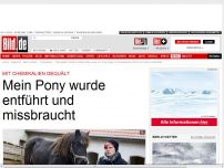 Bild zum Artikel: Tierquälerei - Mein Pony wurde entführt und missbraucht