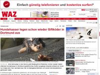 Bild zum Artikel: Hundehasser legen schon wieder Giftköder in Dortmund aus