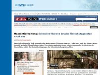 Bild zum Artikel: Massentierhaltung: Schweine-Barone setzen Tierschutzgesetze nicht um