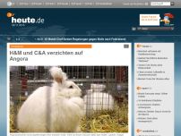 Bild zum Artikel: Kaninchen gequält - H&M und C&A verzichten auf Angora