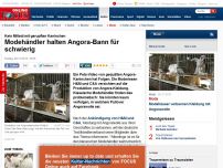 Bild zum Artikel: Kein Mitleid mit gerupften Kaninchen - Modehändler halten Angora-Bann für schwierig