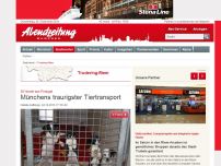 Bild zum Artikel: 20 Hunde aus Portugal: Münchens traurigster Tiertransport
