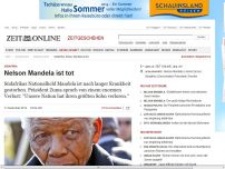Bild zum Artikel: Südafrika: 
			  Südafrikas Nationalheld Mandela ist tot