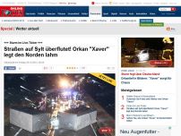 Bild zum Artikel: +++ Orkantief im Live-Ticker +++ - So wappnet sich Deutschland für den Sturm