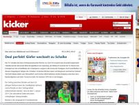 Bild zum Artikel: Deal perfekt! Giefer wechselt zu Schalke