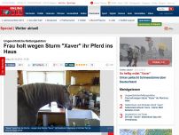 Bild zum Artikel: Ungewöhnliche Rettungsaktion - Frau holt wegen Sturm 'Xaver' ihr Pferd ins Haus