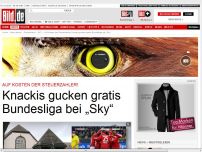 Bild zum Artikel: Auf unsere Kosten! - Knackis gucken gratis Bundesliga bei „Sky“