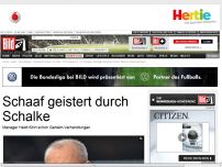 Bild zum Artikel: Geheim-Verhandlungen - Schaaf geistert durch Schalke