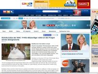 Bild zum Artikel: Es war das Herz! Dickster Kater der Welt ist tot