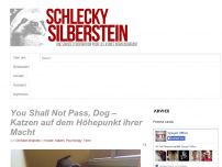 Bild zum Artikel: You Shall Not Pass, Dog – Katzen auf dem Höhepunkt ihrer Macht