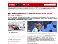 Bild zum Artikel: Kein Besuch in Sotschi: EU-Kommissarin schließt sich Gaucks Olympia-Boykott an