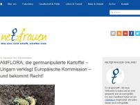 Bild zum Artikel: Amflora, die genmanipulierte Kartoffel – Ungarn verklagt Europäische Kommission – und bekommt Recht!