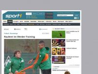 Bild zum Artikel: Rauferei im Werder-Training