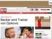 Bild zum Artikel: Tennis-Sensation - Becker wird Trainer von Djokovic