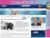 Bild zum Artikel: New York: Unfassbares Glück Von Zug überrollt: Mann&Hund überleben